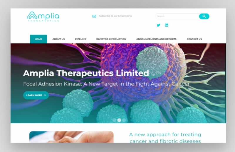 Amplia website